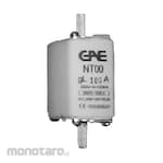 GAE Fuse