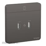 Schneider Electric AvatarOn, 2 USB Charger