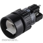 EAO EAO Pushbutton Switch 5 A @ 250 V ac Momentary Panel Mount Single Pole Double Throw (SPDT) IP40