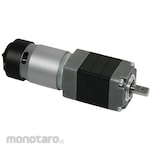 MICROMOTORS DC gear motor Micromotors P250 series