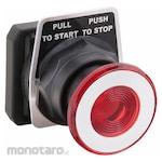 DAYTON Non-Illuminated Push Button Operator