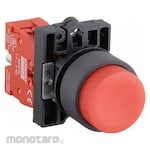DAYTON Non-Illuminated Push Button with Contact Block
