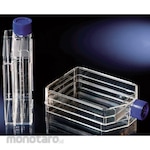 Thermo Scientific Flask