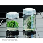 MAGENTA Cap B-Type (Penutup / Tutup Botol)