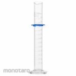 GLOBE SCIENTIFIC Graduated Cylinder Glass (Gelas Ukur Lab)