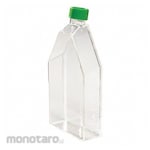 Non Brand Cell Culture Flask