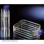 Thermo Scientific Flask