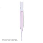 ISOLAB Pipette Pasteur Glass