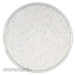 BECTON DICKINSON BD BBL TM YSG agar medium
