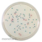 BECTON DICKINSON BD BBLTM CHROMagarTM Salmonella Agar Medium, 100 sheets