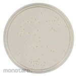 BECTON DICKINSON BD BBLTM LP-added SCD agar medium