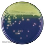 BECTON DICKINSON BD BBLTM MRSA Selective Medium