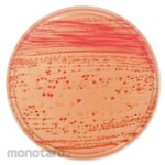BECTON DICKINSON BD BBLTM MacConkey II agar medium with sorbitol
