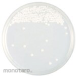 BECTON DICKINSON BD BBLTM Sabouraud Dextrose Agar Medium, 20 plates