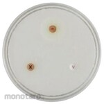 BECTON DICKINSON BD BBLTM TriptycaseTM Soy Agar Medium, 20 sheets