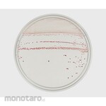 BECTON DICKINSON BDTM mCCDA Clear HT Agar Medium