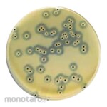 Biokar BAIRD-PARKER Agar-Dehydrated Base Medium