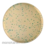 Biokar COMPASS Bacillus Cereus