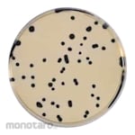 Biokar D-Cycloserine Selective Supplement