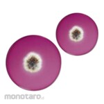 Biokar Dichloran Rose Bengal Chloramphenicol Agar