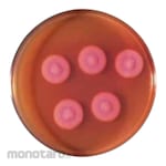 Biokar Egg Yolk Enrichment