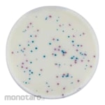 Biokar IRIS Salmonella® Agar