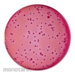 Biokar VRBL Agar