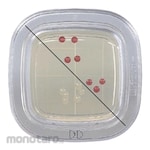Eiken Chemical Petan Check DD