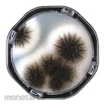 Eiken Chemical Petancheck RII25