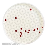 Merck Millipore Ampule Medium (For General Bacteria/Tcc Added)