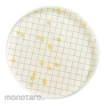 Merck Millipore Ampule Medium (For General Bacteria)