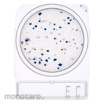 Nissui Compact Dry EC E.Coli & Coliform
