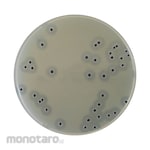 Shimadzu Diagnostics Accurate(TM)