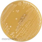 Shimadzu Diagnostics AccurateTM