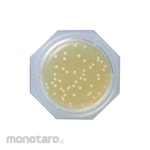Shimadzu Diagnostics Clean Stamp(R) 10 1 box