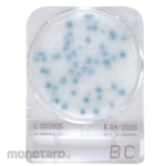 Shimadzu Diagnostics Compact Dry