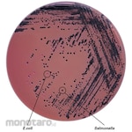 Shimadzu Diagnostics SSB Agar Granules