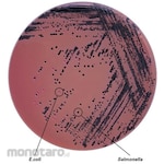 Shimadzu Diagnostics SSB Agar Granules