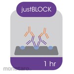 Thistle Scientific Blocking Solution and Signal Enhancer