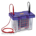 Thistle Scientific omniBlot Blotting System