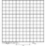 BRAND Counting Chamber BlauBRAND Burker Pattern