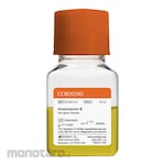 CORNING Amphotericin B Liquid