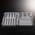 Sanplatec Plate for cell culture Plate-N