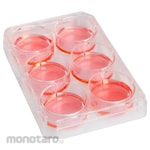 Thermo Scientific Multidish Culture