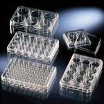 Thermo Scientific Multiplates
