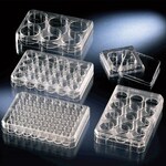 Thermo Scientific Multiplates