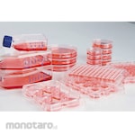 Thermo Fisher Scientific Cell culture plates Nunclon(TM) Sphera(TM)