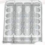 BioLite Flat Bottom Multi-Dish