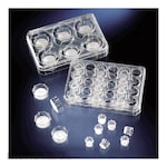 NUNC Cell Culture Multidish Insert (Wadah Multiwell Kultur Sel)