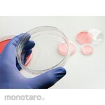 NUNC EasyDish Nunclon Delta Sterile with Lid (Cawan Kultur)
